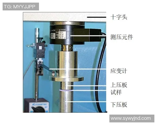 上海排球队灵活性分析与战术调整的深度探讨