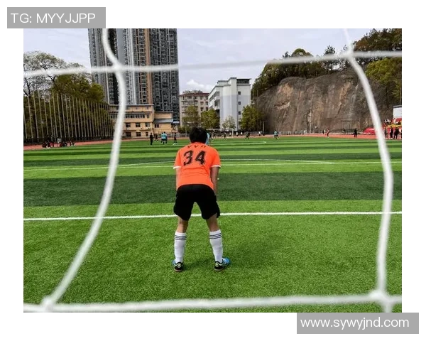 恩施足球明星盘点及其在国内外赛场的精彩表现与成就分析