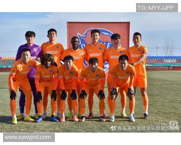 武汉足球队崛起之路：城市联赛中的奋斗与荣耀