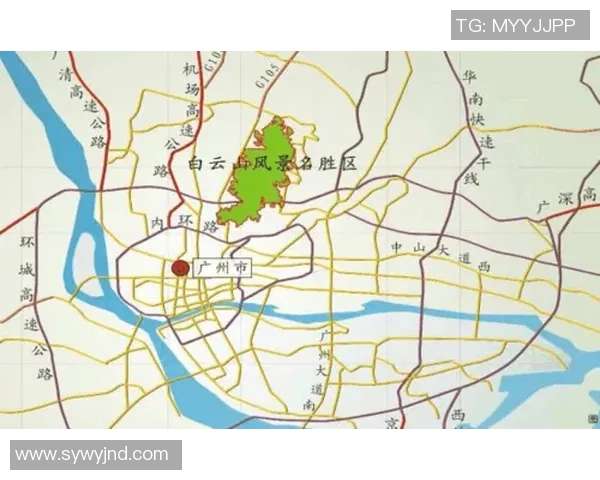 广州乒乓球队运营模式深度解析与发展前景展望