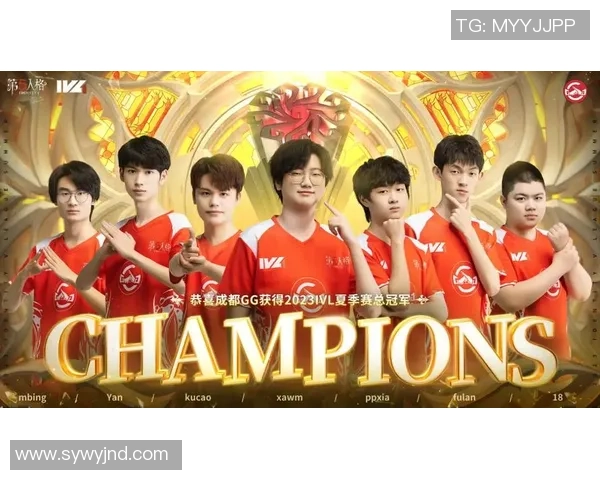 成都篮球队总决赛逆袭之路揭秘勇者无畏的拼搏精神与团队协作