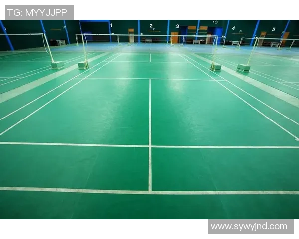 杭州羽毛球队近期状态分析与表现评估全景解读 杭州羽毛球队近期状态分析与表现评估全景解读