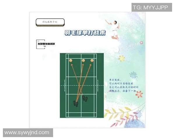 杭州羽毛球队配合表现的数据分析与战术研究探讨 杭州羽毛球队配合表现的数据分析与战术研究探讨