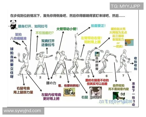 羽毛球深度解析：探秘北京羽毛球队的训练与管理模式