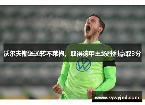 沃尔夫斯堡逆转不莱梅，取得德甲主场胜利豪取3分
